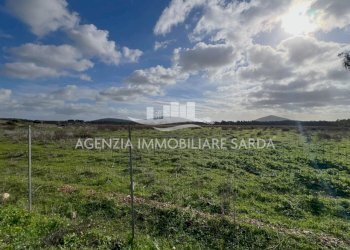 WhatsApp Image 2026-01-09 at 14.59.25 (6).jpeg - Agricultural land Alghero - photo 1