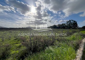 WhatsApp Image 2026-01-09 at 14.59.25.jpeg - Agricultural land Alghero - photo 2