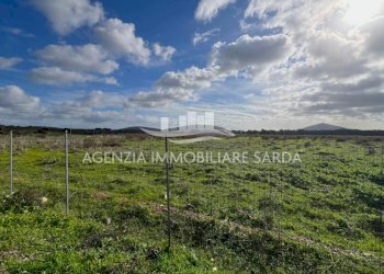 WhatsApp Image 2026-01-09 at 14.59.25 (4).jpeg - Agricultural land Alghero - photo 3