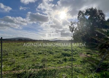 WhatsApp Image 2026-01-09 at 14.59.25 (5).jpeg - Agricultural land Alghero - photo 4