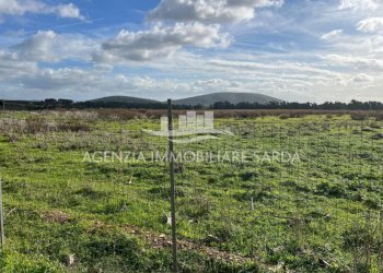 WhatsApp Image 2026-01-09 at 14.59.25 (3).jpeg - Agricultural land Alghero - photo 5