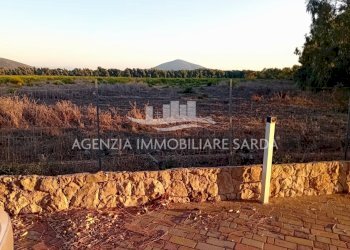 WhatsApp Image 2026-01-09 at 13.22.10.jpeg - Agricultural land Alghero - photo 6