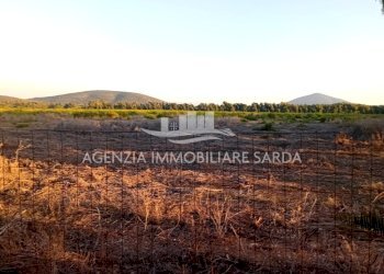 WhatsApp Image 2026-01-09 at 13.22.11 (1).jpeg - Agricultural land Alghero - photo 7