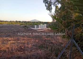 WhatsApp Image 2026-01-09 at 13.22.11 (2).jpeg - Agricultural land Alghero - photo 8