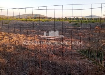 WhatsApp Image 2026-01-09 at 13.22.11.jpeg - Agricultural land Alghero - photo 9