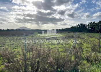 WhatsApp Image 2026-01-09 at 14.59.23.jpeg - Agricultural land Alghero - photo 10