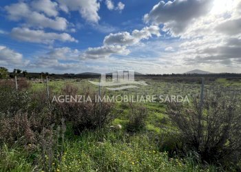 WhatsApp Image 2026-01-09 at 14.59.25 (1).jpeg - Agricultural land Alghero - photo 11