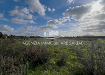 WhatsApp Image 2026-01-09 at 14.59.25 (2).jpeg - Agricultural land Alghero - photo 12