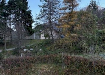 IMG_1888.jpg - Hotel - Accommodation facility VIA NAZIONALE 2, Sella Giudicarie - photo 18