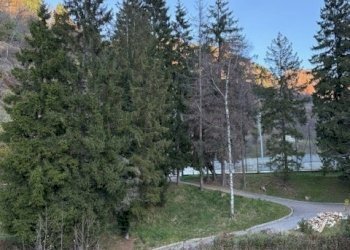 IMG_1889.jpg - Hotel - Accommodation facility VIA NAZIONALE 2, Sella Giudicarie - photo 19