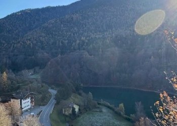 IMG_1891.jpg - Hotel - Accommodation facility VIA NAZIONALE 2, Sella Giudicarie - photo 21