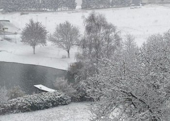 PHOTO-2026-01-07-18-29-30_4.jpg - Hotel - Accommodation facility VIA NAZIONALE 2, Sella Giudicarie - photo 28