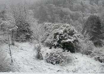 PHOTO-2026-01-07-18-29-30_5.jpg - Hotel - Accommodation facility VIA NAZIONALE 2, Sella Giudicarie - photo 29