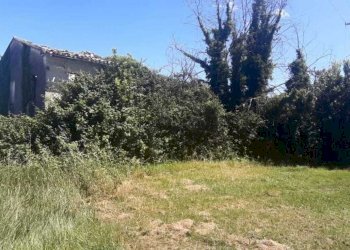 WhatsApp Image 2024-09-10 at 08.33.52.jpeg - Rustico Filottrano, Filottrano - foto 4