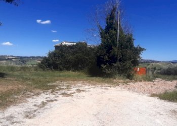 WhatsApp Image 2024-09-10 at 08.33.52(1).jpeg - Rustico Filottrano, Filottrano - foto 5