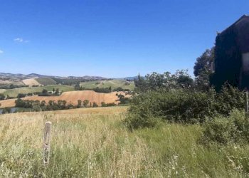 WhatsApp Image 2024-09-10 at 08.33.51(2).jpeg - Rustico Filottrano, Filottrano - foto 6