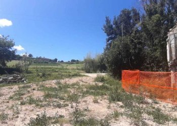 WhatsApp Image 2024-09-10 at 08.33.51(1).jpeg - Rustico Filottrano, Filottrano - foto 7