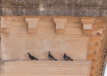 Palazzo Lecce35.jpg - Independent house Via Roberto Caracciolo 30, Lecce - photo 11