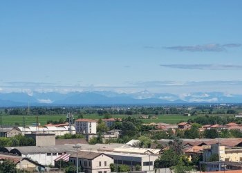 20250721_123451.jpg - Attico Via Gaudenzio Ferrari 19, Vercelli - foto 8