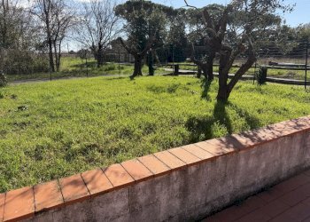 IMG_2898.jpeg - Trilocale Ameglia - foto 5