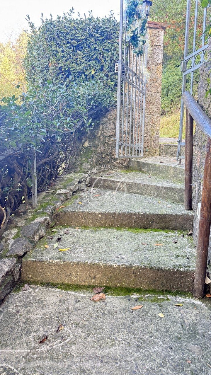 IMG_2488 3.JPG - Villa Massarosa - photo 2