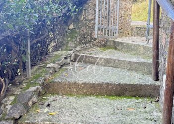 IMG_2488 3.JPG - Villa Massarosa - photo 2