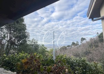 IMG_2371 2.JPG - Villa Massarosa - photo 18