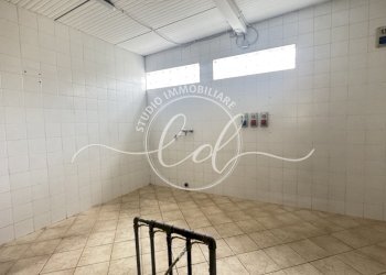 IMG_2072.JPG - Porzione di casa Camaiore - foto 5