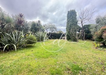 IMG_2096.JPG - Porzione di casa Camaiore - foto 9