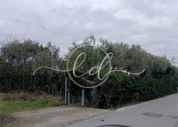 d70fe29b-da7a-419c-8fa1-a89427931b15.jpeg - Porzione di casa Camaiore - foto 12