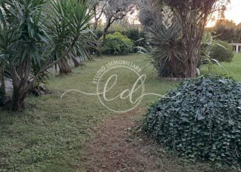 PHOTO-2025-12-17-06-40-58 2.jpg - Porzione di casa Camaiore - foto 20