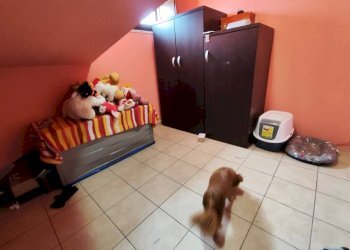 615156141_1443493260890606_2913765891764763799_n.j - Trilocale Via Daniele Manin 3, Guidonia Montecelio - foto 13