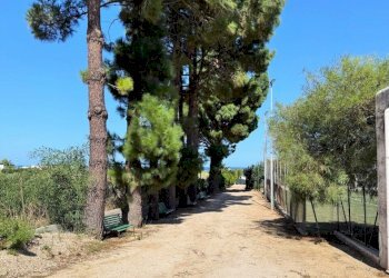 WhatsApp Image 2025-11-03 at 15.45.08 (2).jpeg - Villa a Schiera Castellammare del Golfo - foto 14