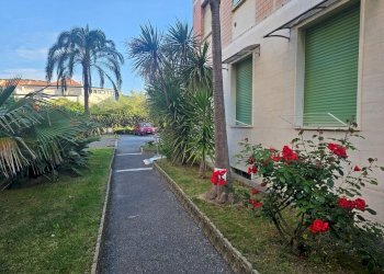 20250511_075953.jpg - Trilocale Via Aurelia 84, San Bartolomeo al Mare - foto 6