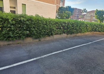 20250511_080437.jpg - Trilocale Via Aurelia 84, San Bartolomeo al Mare - foto 19