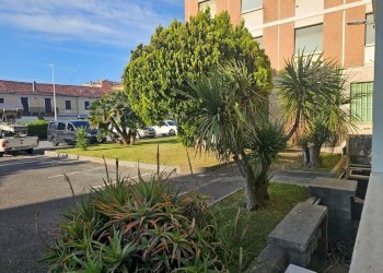 20250511_080510.jpg - Trilocale Via Aurelia 84, San Bartolomeo al Mare - foto 23