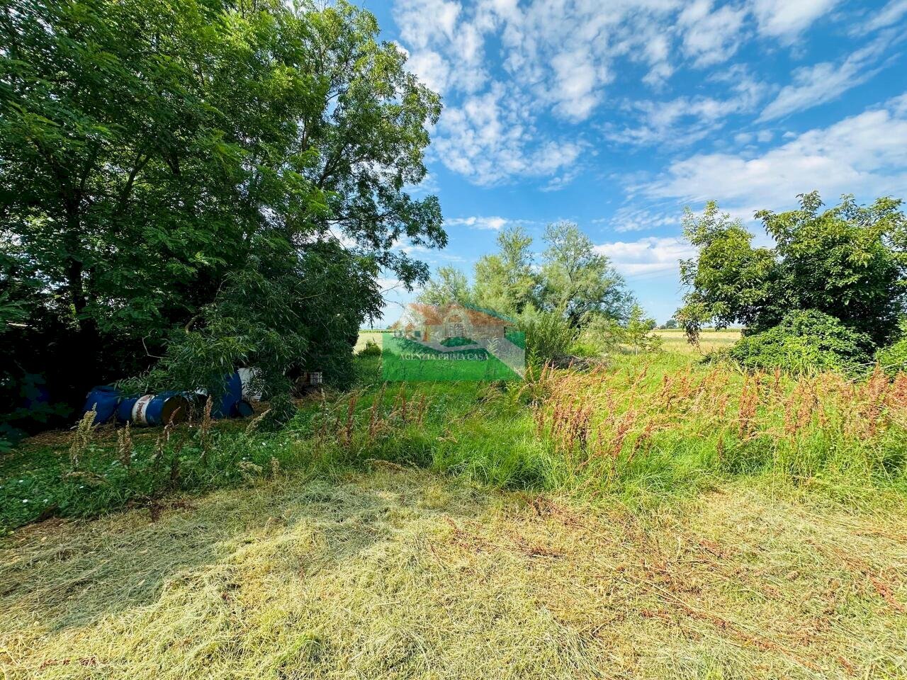 PHOTO-2025-07-12-13-04-51 3.jpg - Casale Via Viazza di Sotto, Ravenna - foto 3