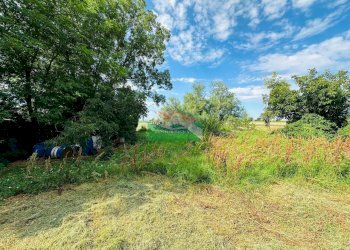 PHOTO-2025-07-12-13-04-51 3.jpg - Casale Via Viazza di Sotto, Ravenna - foto 3