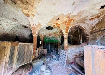 PHOTO-2025-07-12-13-04-51.jpg - Casale Via Viazza di Sotto, Ravenna - foto 4