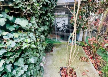 PHOTO-2025-03-29-08-11-47.jpg - One-room apartment VIA GIOVANNI SPALLAZZI, Ravenna - photo 8