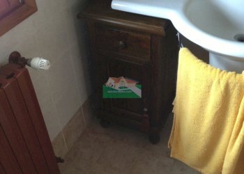 IMG_0959.jpg - Villa VIA CELLA, Ravenna - foto 8