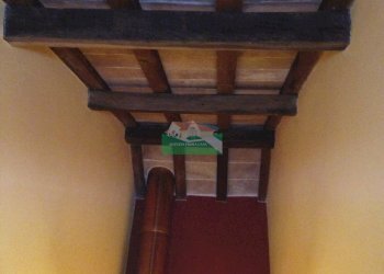 IMG_0976.jpg - Villa VIA CELLA, Ravenna - foto 17