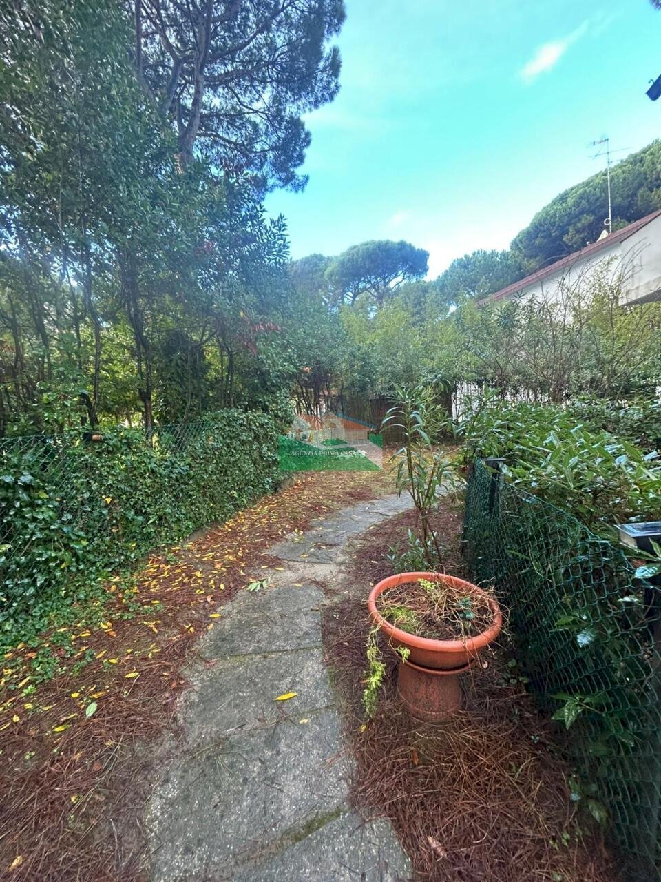 PHOTO-2025-11-17-10-39-11 5.jpg - Porzione di casa via dei fiori, Ravenna - foto 2