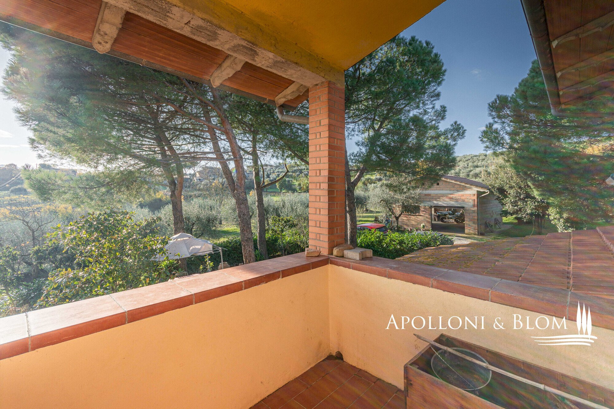 Rustic Montepulciano - photo 3