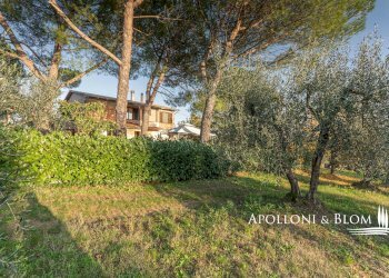 Rustic Montepulciano - photo 1