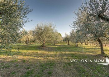 Rustic Montepulciano - photo 21