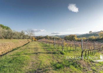 Rustic Montepulciano - photo 22