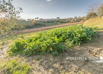 Rustic Montepulciano - photo 23