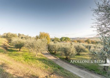 Rustic Montepulciano - photo 24