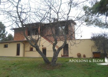 Rustic Montepulciano - photo 25